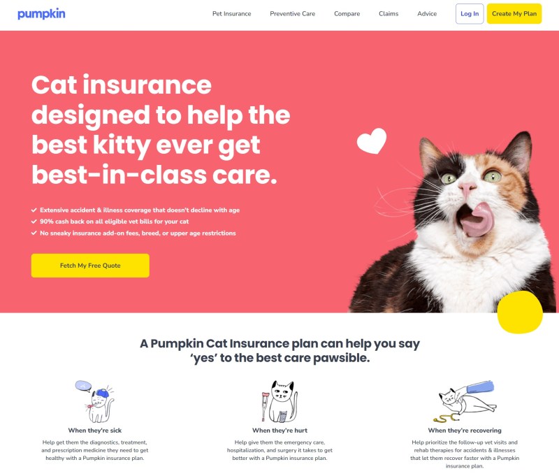 Pumpkin Pet Insurance Landing Page Example